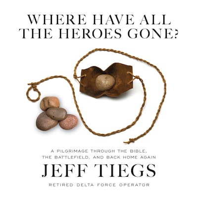 Where Have All the Heroes Gone? – omslag till ljudboken av Jeff Tiegs