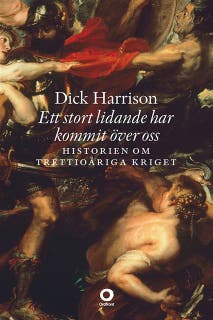 Ett stort lidande har kommit över oss : Historien om trettioåriga kriget
