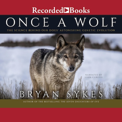 Once a Wolf – omslag til lydbogen af Bryan Sykes