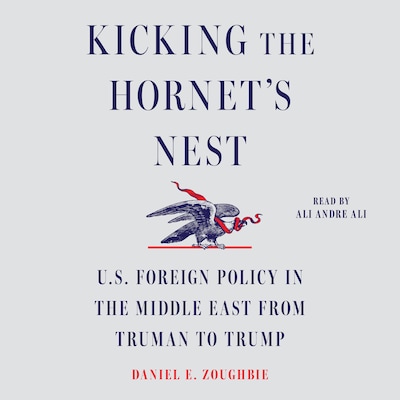 Kicking the Hornet's Nest – omslag til lydbogen af Daniel E Zoughbie