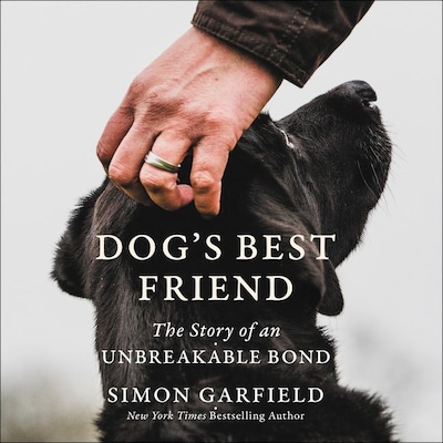 Dog's Best Friend