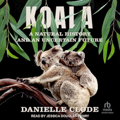 Koala – omslag til lydbogen af Danielle Clode