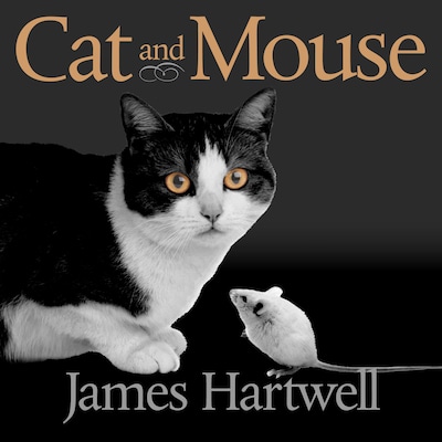 Cat and Mouse