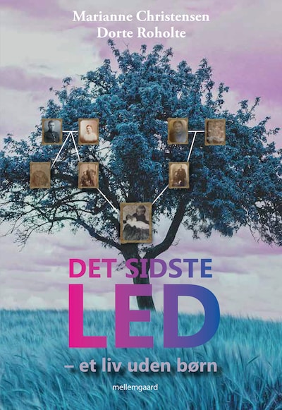 Det sidste led - et liv uden børn – omslag til lydbogen af Dorte Roholte, Marianne Christensen