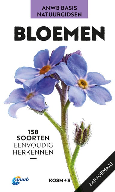 Bloemen – omslag van het luisterboek van Eva-Maria Dreyer