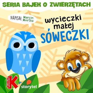 Wycieczki małej sóweczki – okładka audiobooka, autor Marcin Mortka