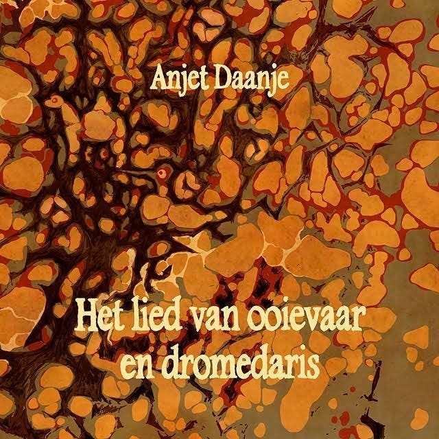 Het lied van ooievaar en dromedaris – omslag van het luisterboek van Anjet Daanje