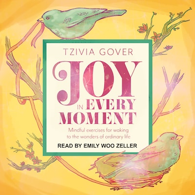Joy in Every Moment – omslag til lydbogen af Tzivia Gover
