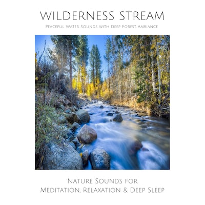 Wilderness Stream (without music) - Peaceful Water Sounds with Deep Forest Ambience