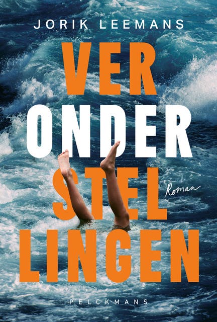 Veronderstellingen – omslag van het luisterboek van Jorik Leemans