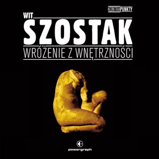 Wróżenie z wnętrzności – okładka audiobooka, autor Wit Szostak