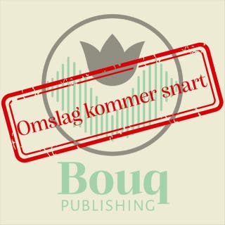 Eldförbud – omslag till ljudboken av Anders Jallai