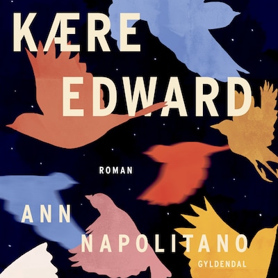 Kære Edward – omslag til lydbogen af Ann Napolitano