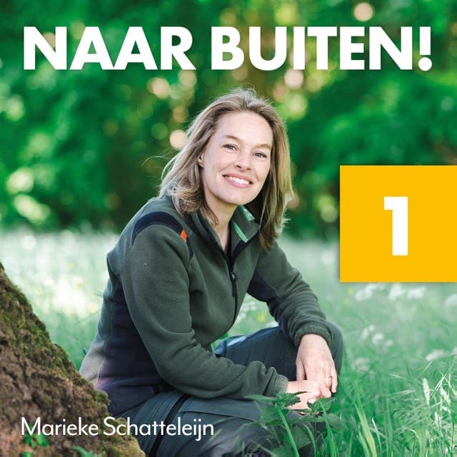 Naar buiten! Licht in het Lauwersmeer: Over de kracht van licht voor de biologische klok, energie en gezondheid – omslag van het luisterboek van Marieke Schatteleijn
