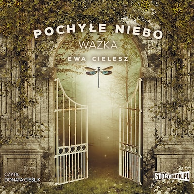 Pochyłe niebo. Tom 3. Ważka – okładka audiobooka, autor Ewa Cielesz