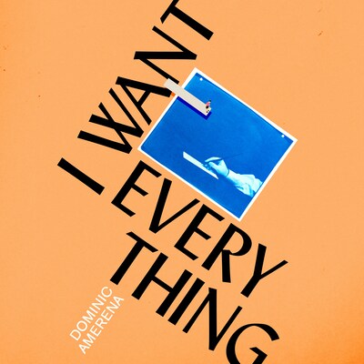 I Want Everything