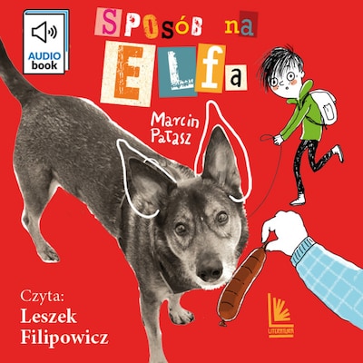 Sposób na Elfa – okładka audiobooka, autor Marcin Pałasz