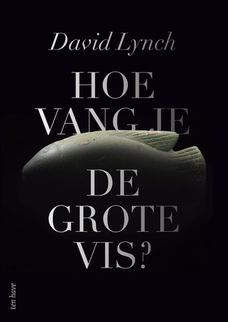 Hoe vang je de grote vis?: Het geheim van mijn creativiteit – omslag van het luisterboek van David Lynch