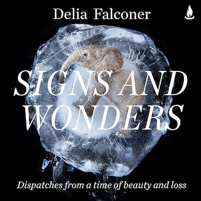 Signs and Wonders