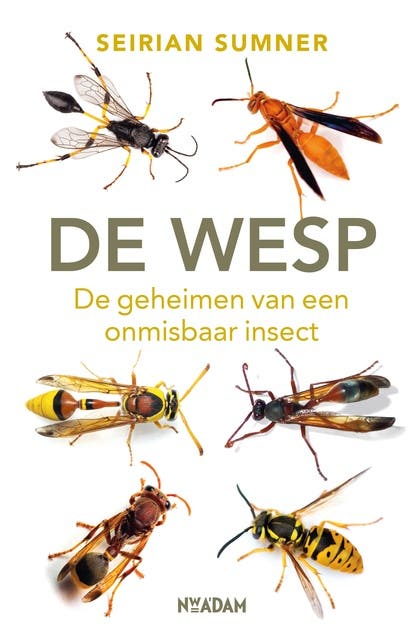 De wesp: De geheimen van een onmisbaar insect