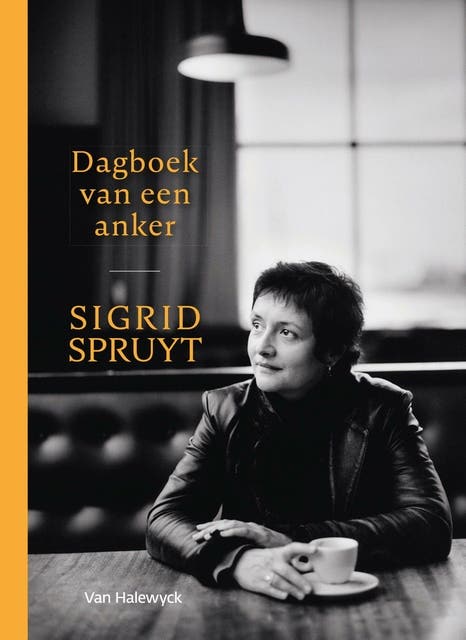 Dagboek van een anker – omslag van het luisterboek van Sigrid Spruyt