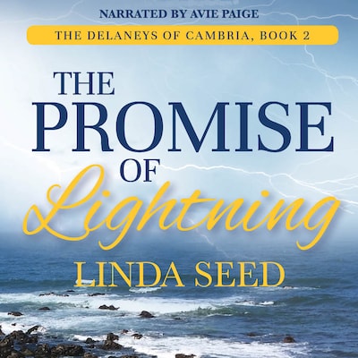 The Promise of Lightning – okładka audiobooka, autor Linda Seed