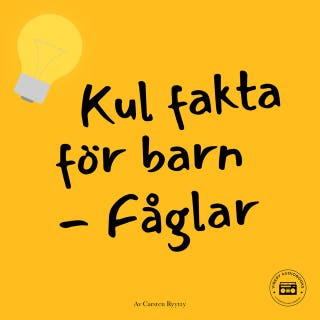 Kul fakta för barn: Fåglar