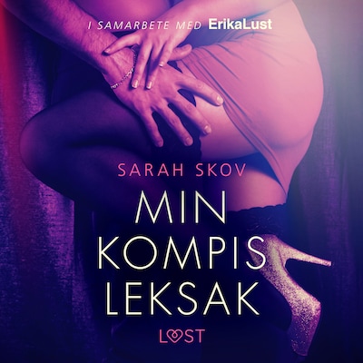 Min kompis leksak - erotisk novell
