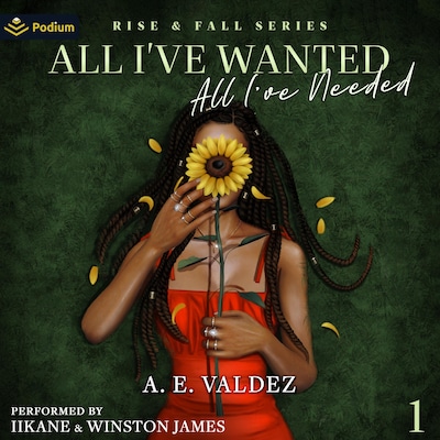 All I've Wanted All I've Needed – omslag til lydbogen af A.E. Valdez