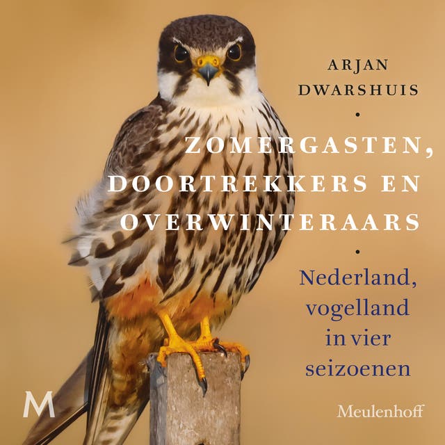 Zomergasten, doortrekkers en overwinteraars: Nederland, vogelland in vier seizoenen