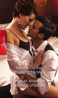 Att fälla en man / Lysande utsikter – omslag till ljudboken av Barbara Dunlop,Sarah M. Anderson