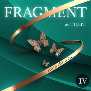 Fragment av tillit – omslag till ljudboken av Sofia Löfgren