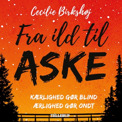Det ingen ser #1: Fra ild til aske – omslag til lydbogen af Cecilie Birkshøj
