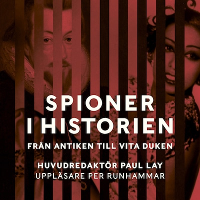 Spioner i historien