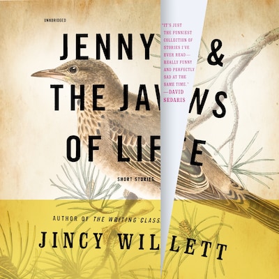 Jenny and the Jaws of Life – omslag til lydbogen af Jincy Willett