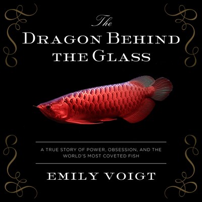 The Dragon Behind the Glass – omslag til lydbogen af Emily Voigt