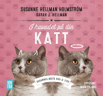 I huvudet på din katt