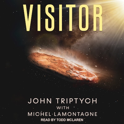 Visitor – omslag til lydbogen af John Triptych