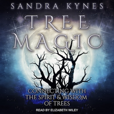 Tree Magic – omslag til lydbogen af Sandra Kynes