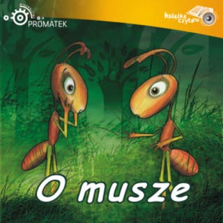O musze – okładka audiobooka, autor Ryszard Adam Gruchawka