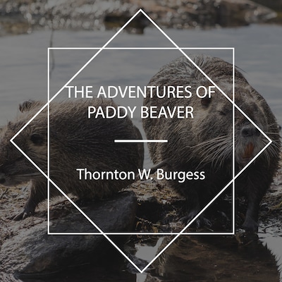 The Adventures of Paddy Beaver – omslag til lydbogen af Thornton W. Burgess