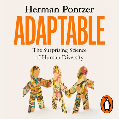 Adaptable – omslag til lydbogen af Herman Pontzer