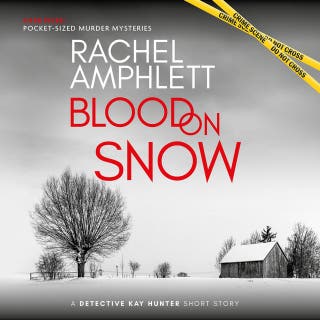 Blood on Snow: A Detective Kay Hunter short story
