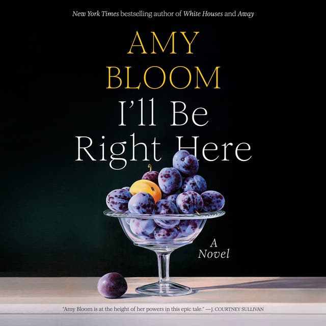 I'll Be Right Here: A Novel – omslag til lydbogen af Amy Bloom