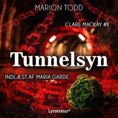 Tunnelsyn – omslag til lydbogen af Marion Todd