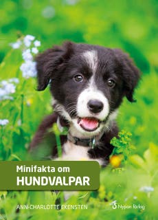 Minifakta om hundvalpar