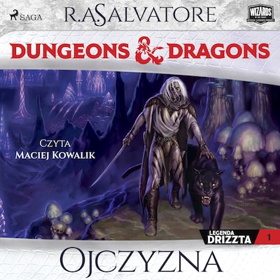 Dungeons&Dragons: Legenda Drizzta. Tom 1. Ojczyzna – okładka audiobooka, autor R.A. Salvatore