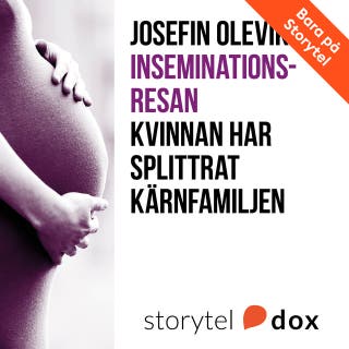 Inseminationsresan -- Kvinnan har splittrat kärnfamiljen