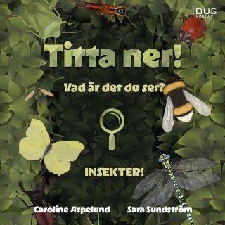 Titta ner!