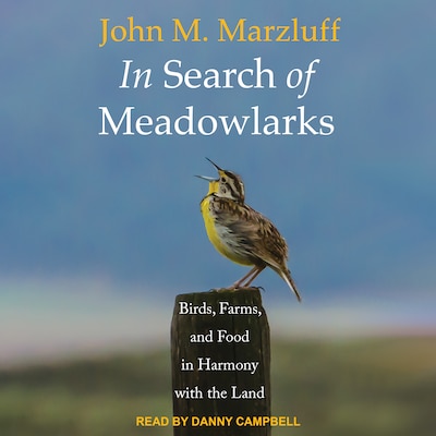 In Search of Meadowlarks – omslag til lydbogen af John M. Marzluff